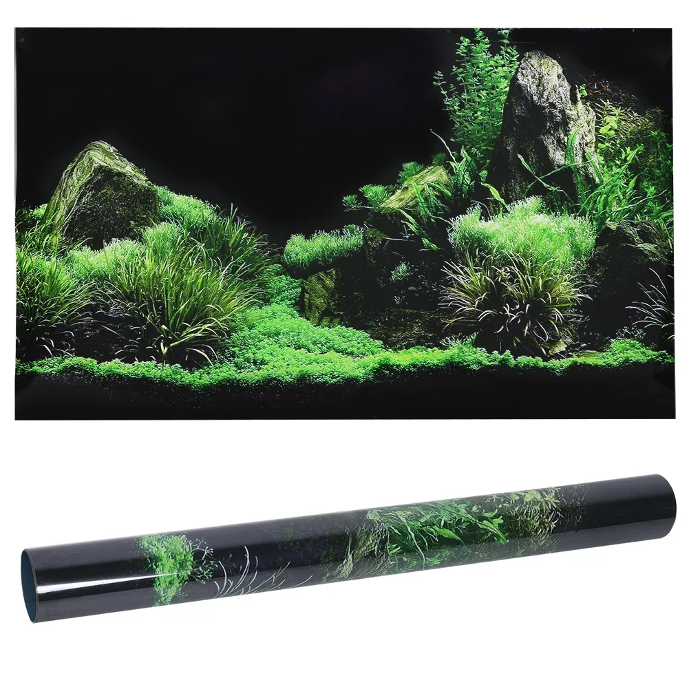 Aquarium Fish Cichlid - Fundo para Aquário 3d Adesivo Cartaz