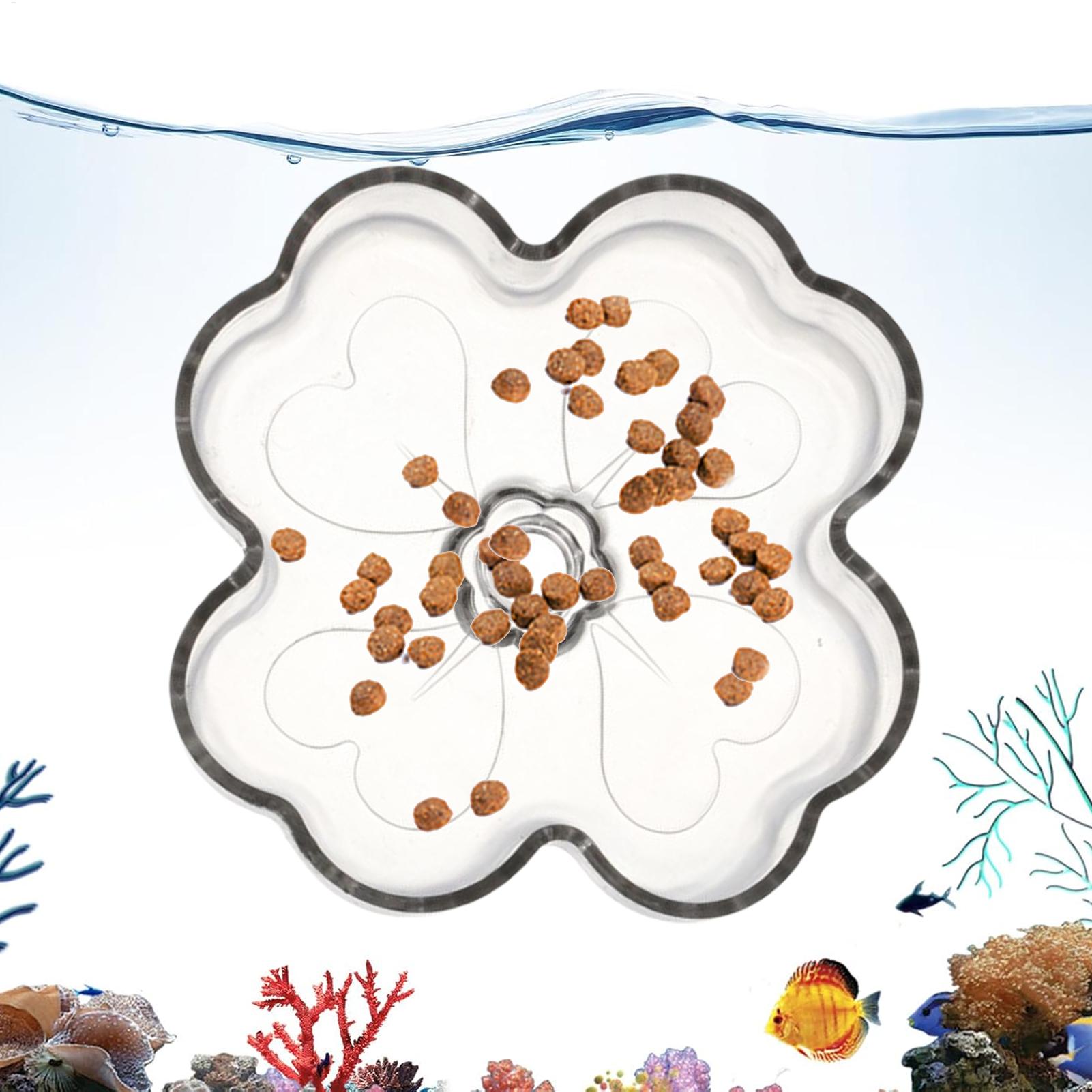 Tetra Fish In Aquarium - Prato Alimentador de Aquário com Ventosa