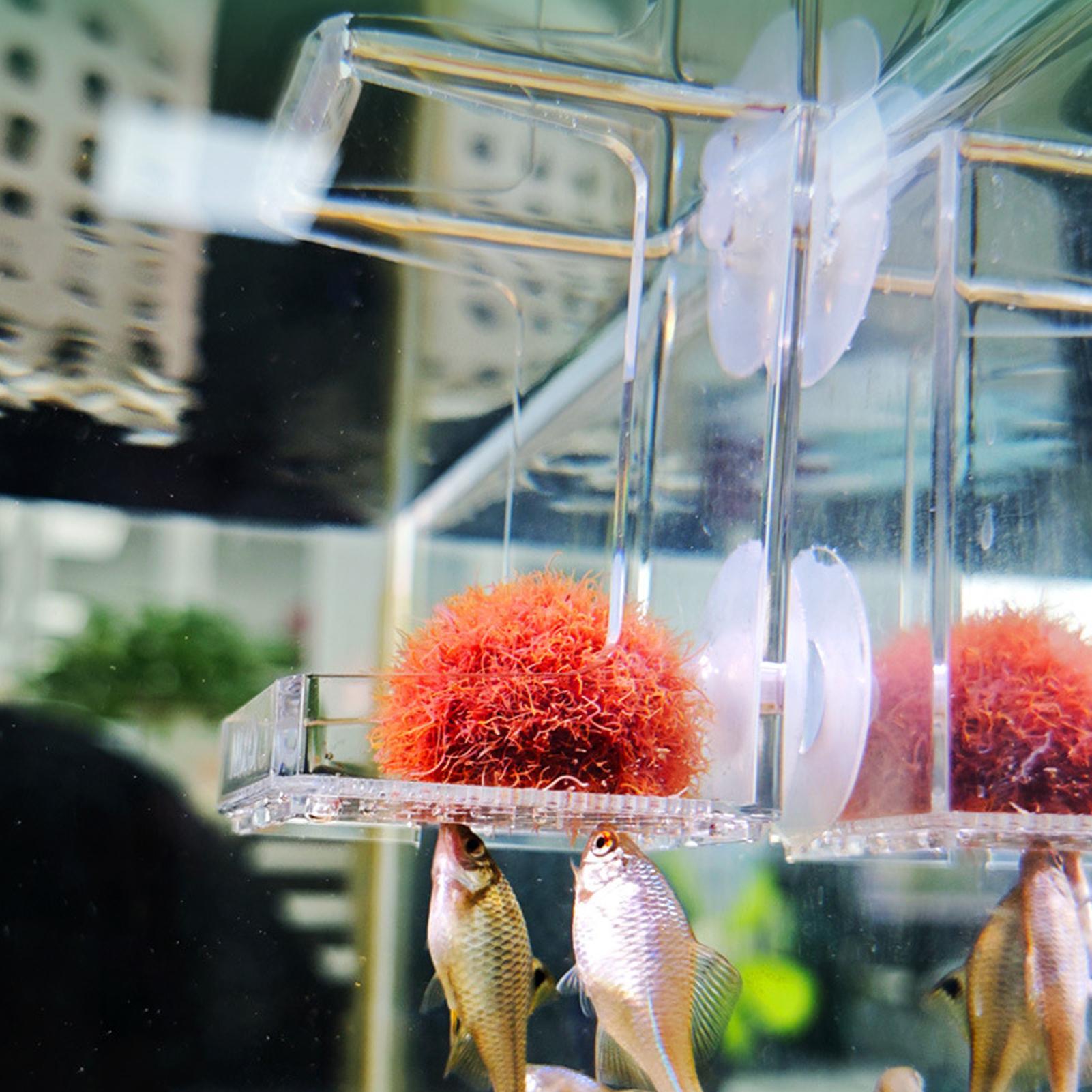 Tetra Fish In Aquarium - Comedouro para Aquário com Ventosa, Bandeja