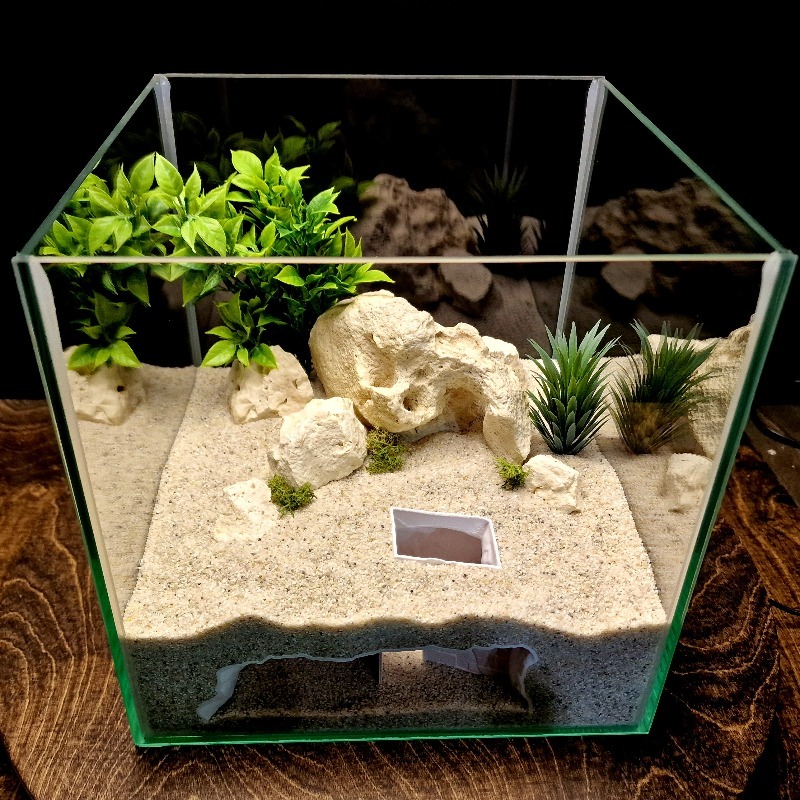 Caverna para Aquário Impressa  - Aquarium Fish Cichlid avaliação e preço