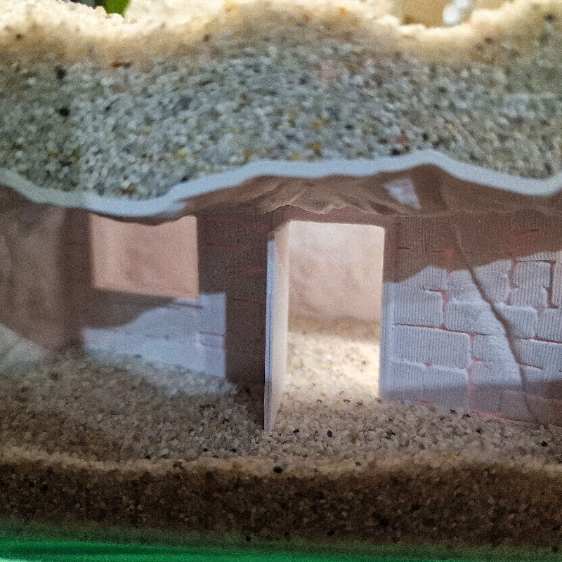 Caverna para Aquário Impressa  - Aquarium Fish Cichlid avaliação e preço