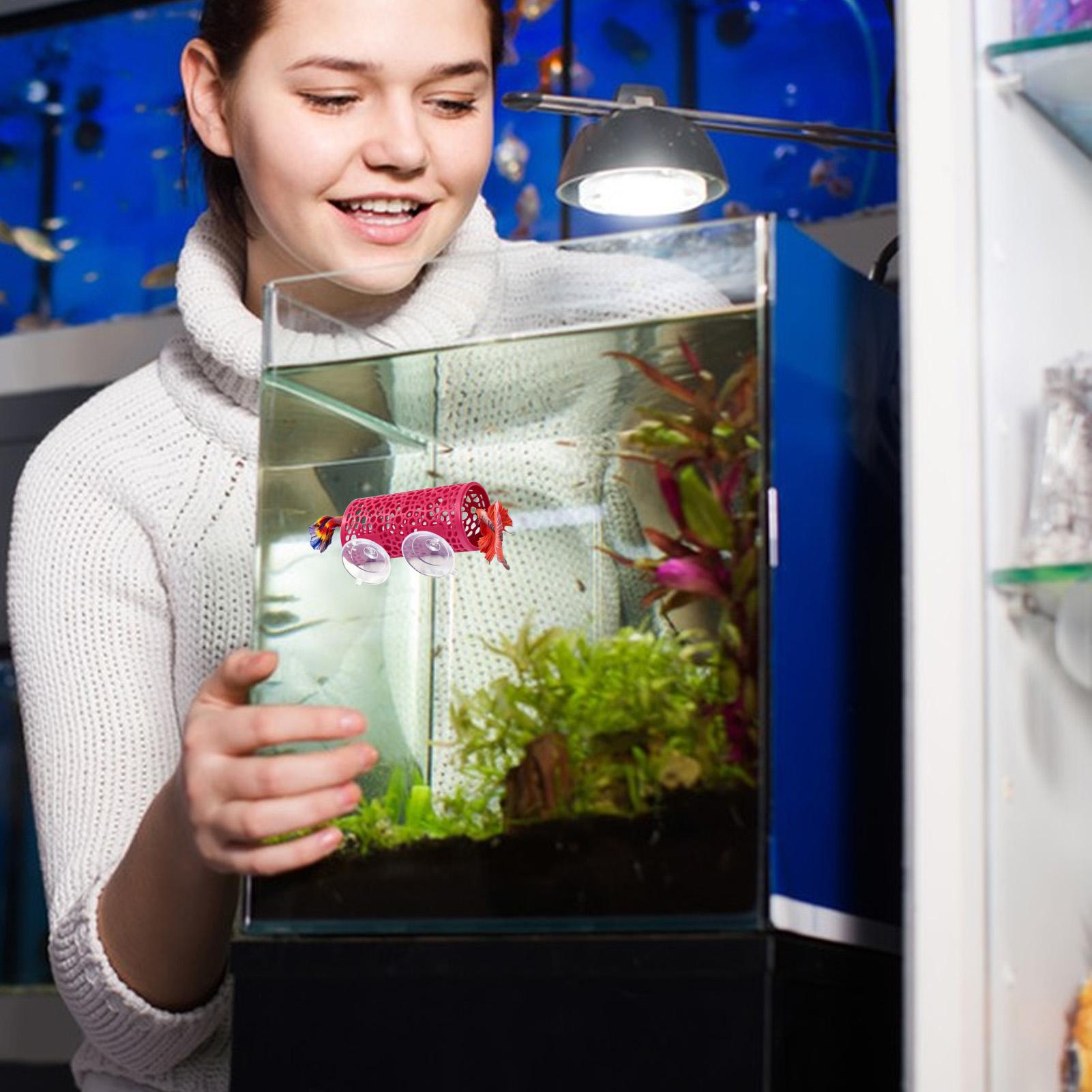 Abrigo de Descanso para Bettas - Aquarium Fish Cichlid avaliação e preço