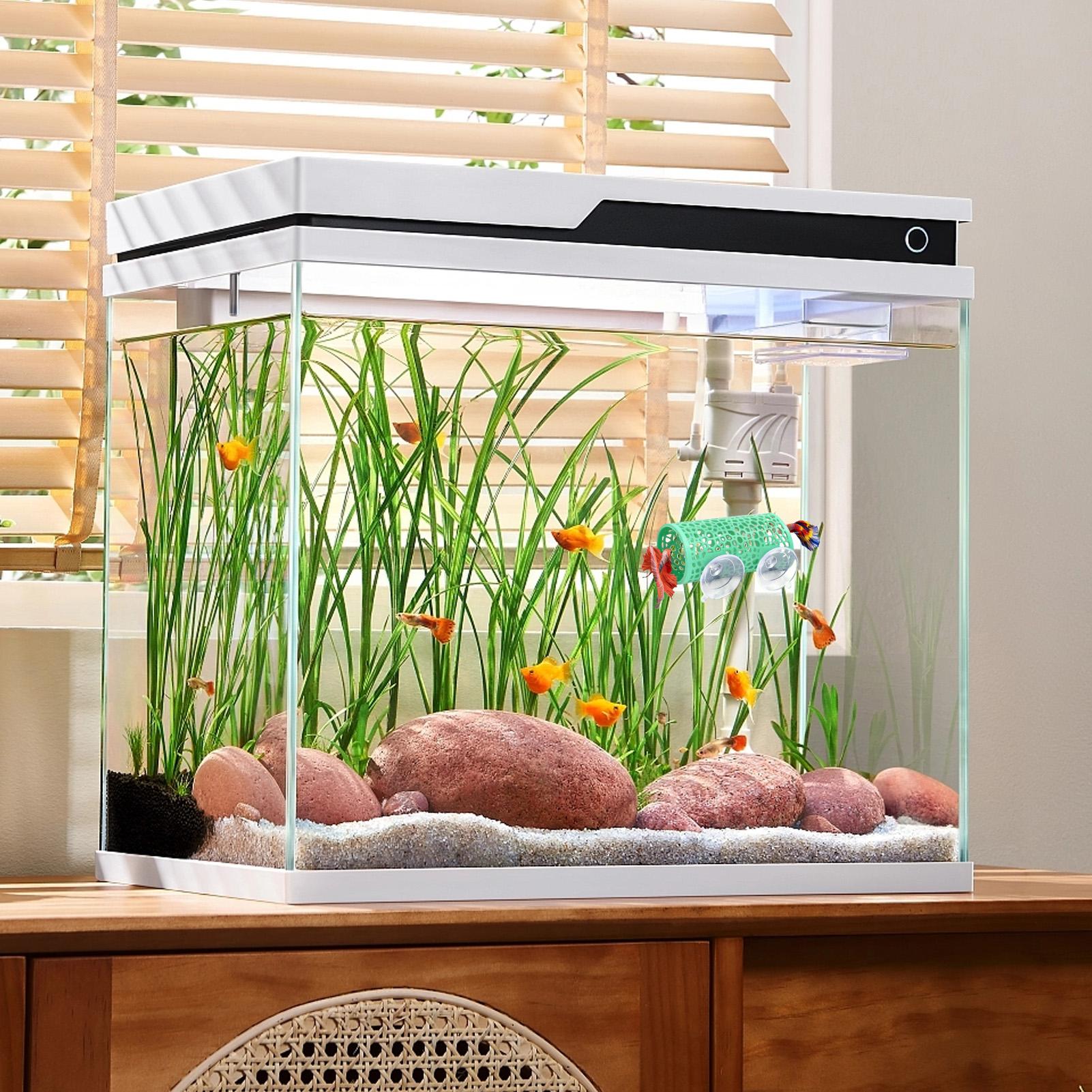 Abrigo de Descanso para Bettas - Aquarium Fish Cichlid avaliação e preço