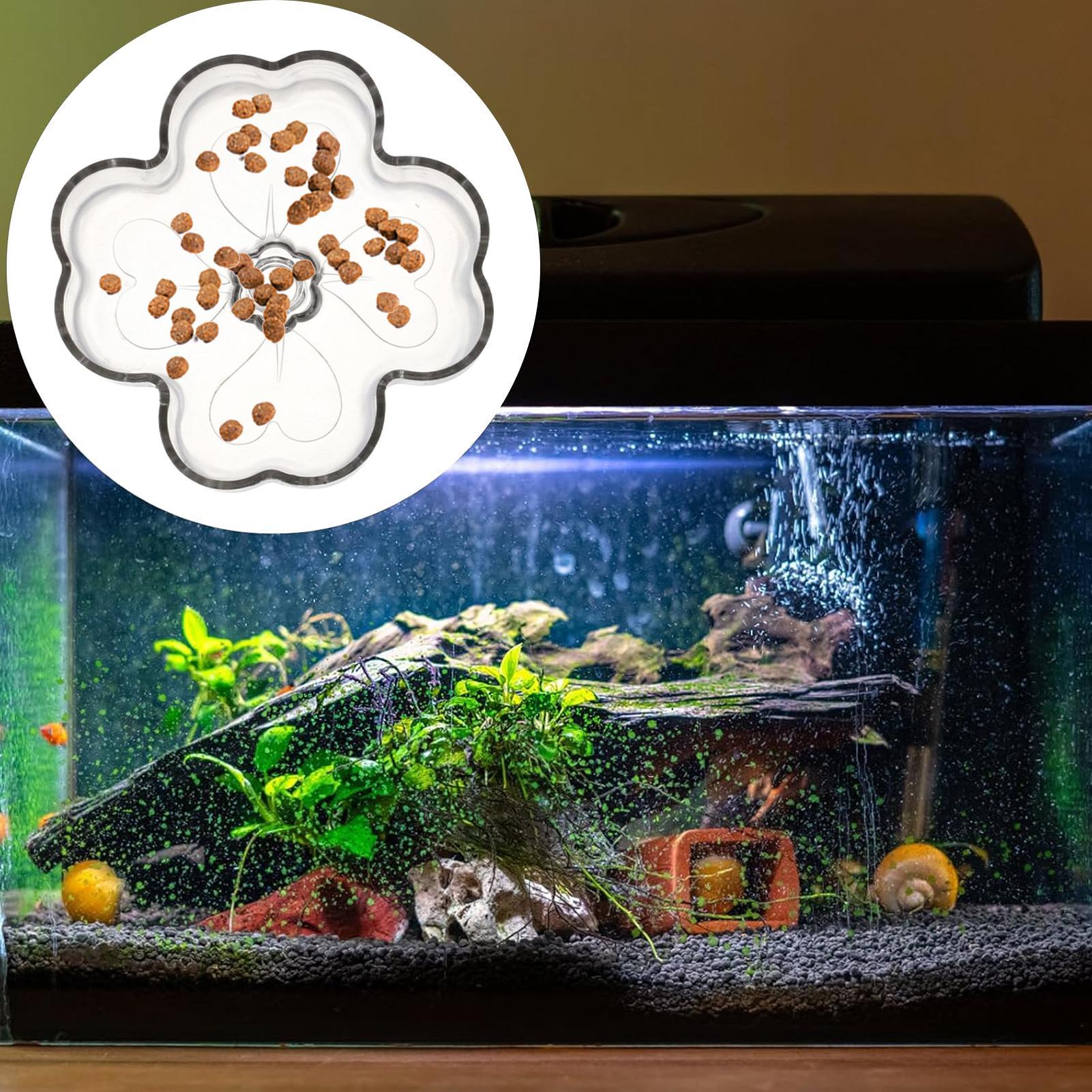 Prato Alimentador de Aquário c - Tetra Fish In Aquarium avaliação e preço