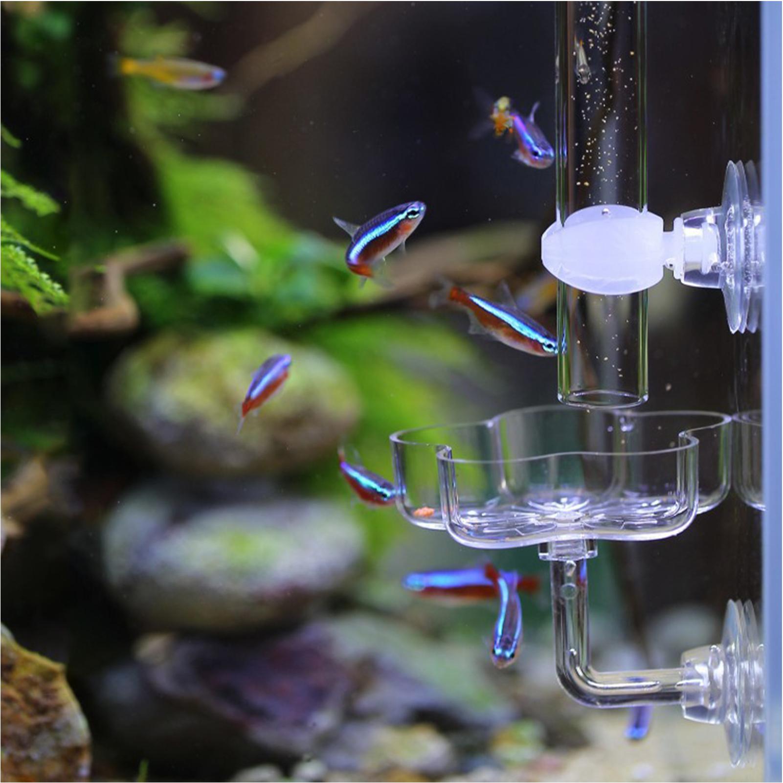 Alimentador de Aquário com Ven - Tetra Fish In Aquarium avaliação e preço