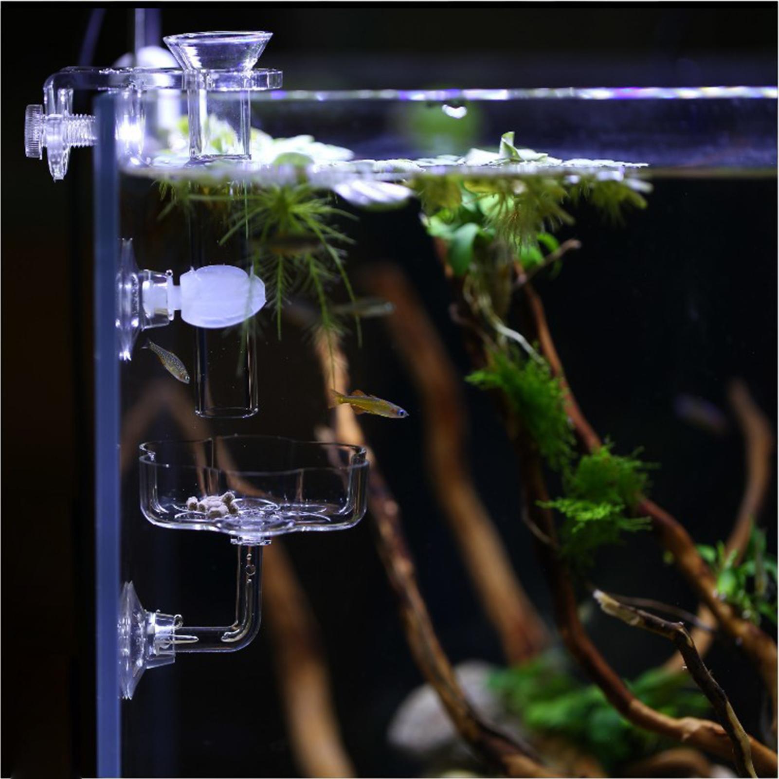 Alimentador de Aquário com Ven - Tetra Fish In Aquarium avaliação e preço