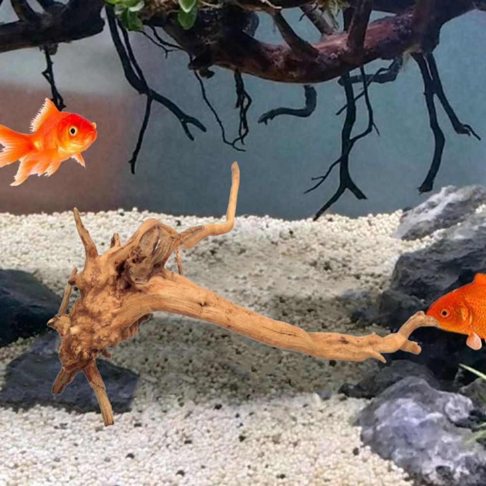 Natural Árvore Tronco Decoraçã - Aquarium Fish Cichlid avaliação e preço