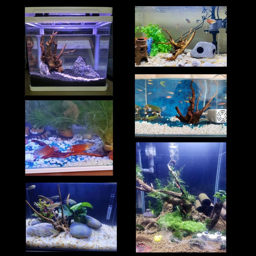 Natural Árvore Tronco Decoraçã - Aquarium Fish Cichlid avaliação e preço