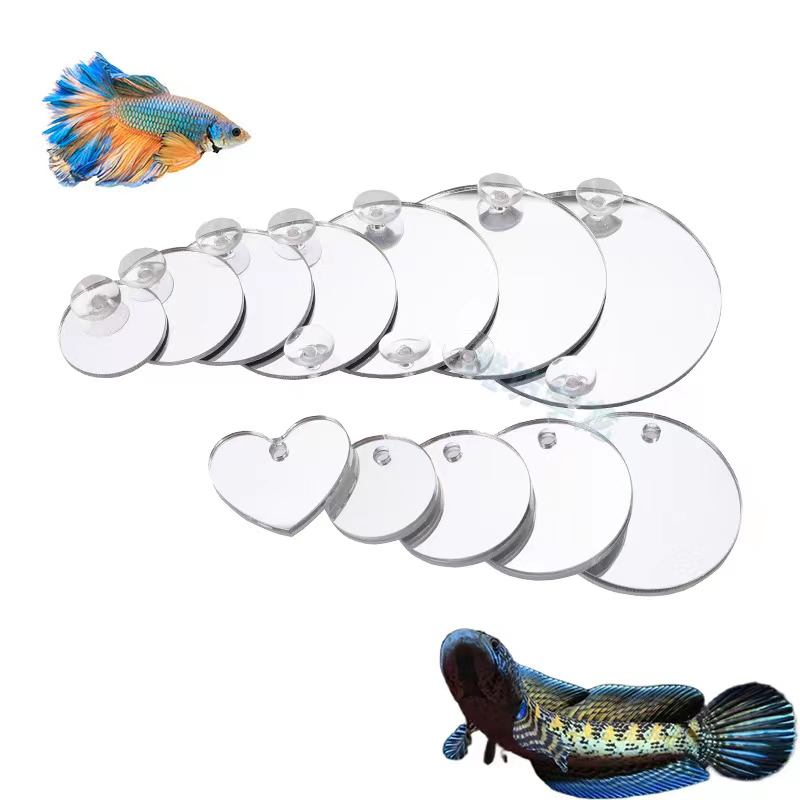 Aquário betta espelho tanque d - Aquarium Fish Cichlid avaliação e preço